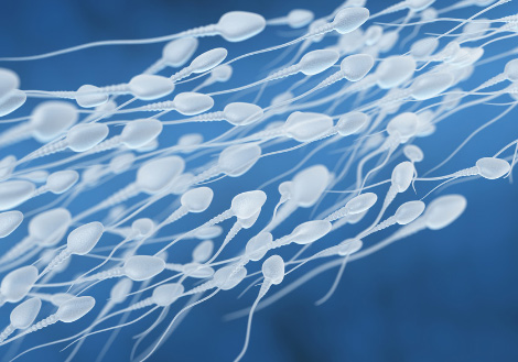 助孕期间如何提高卵子质量